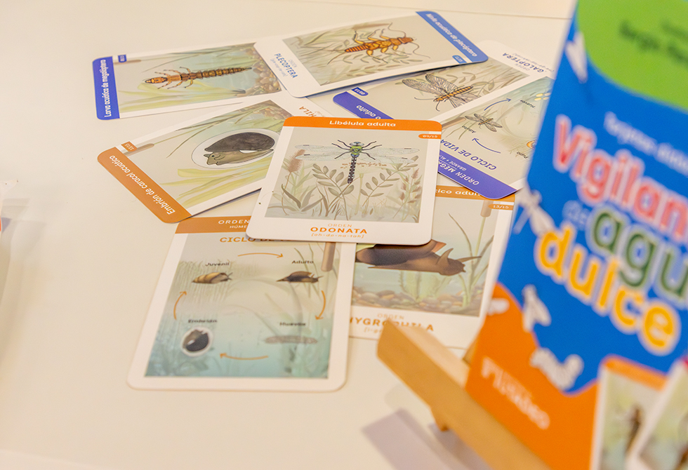 Tarjetas didácticas Vigilantes de agua dulce